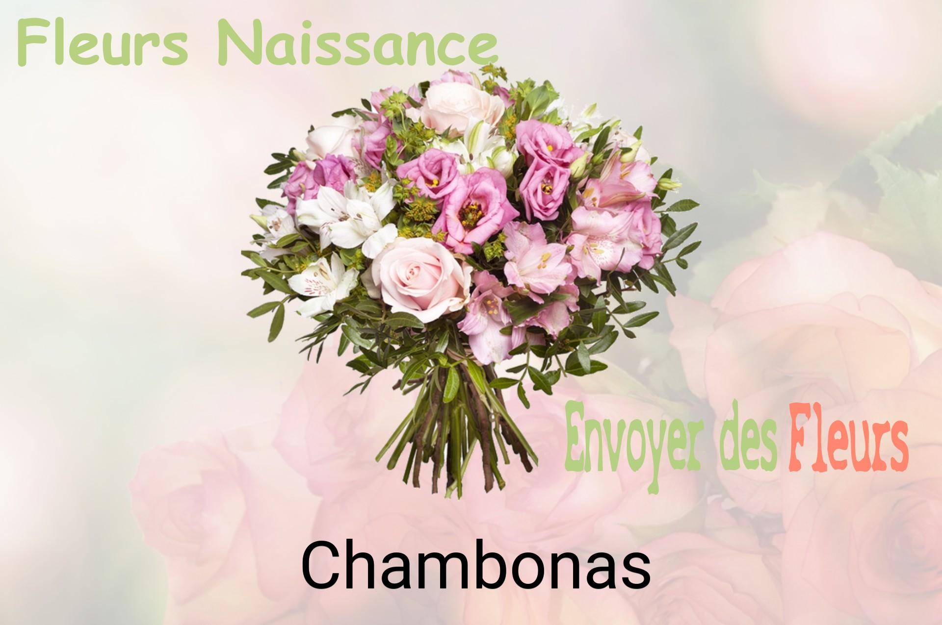 Bouquet de fleurs de naissance livré à Chambonas